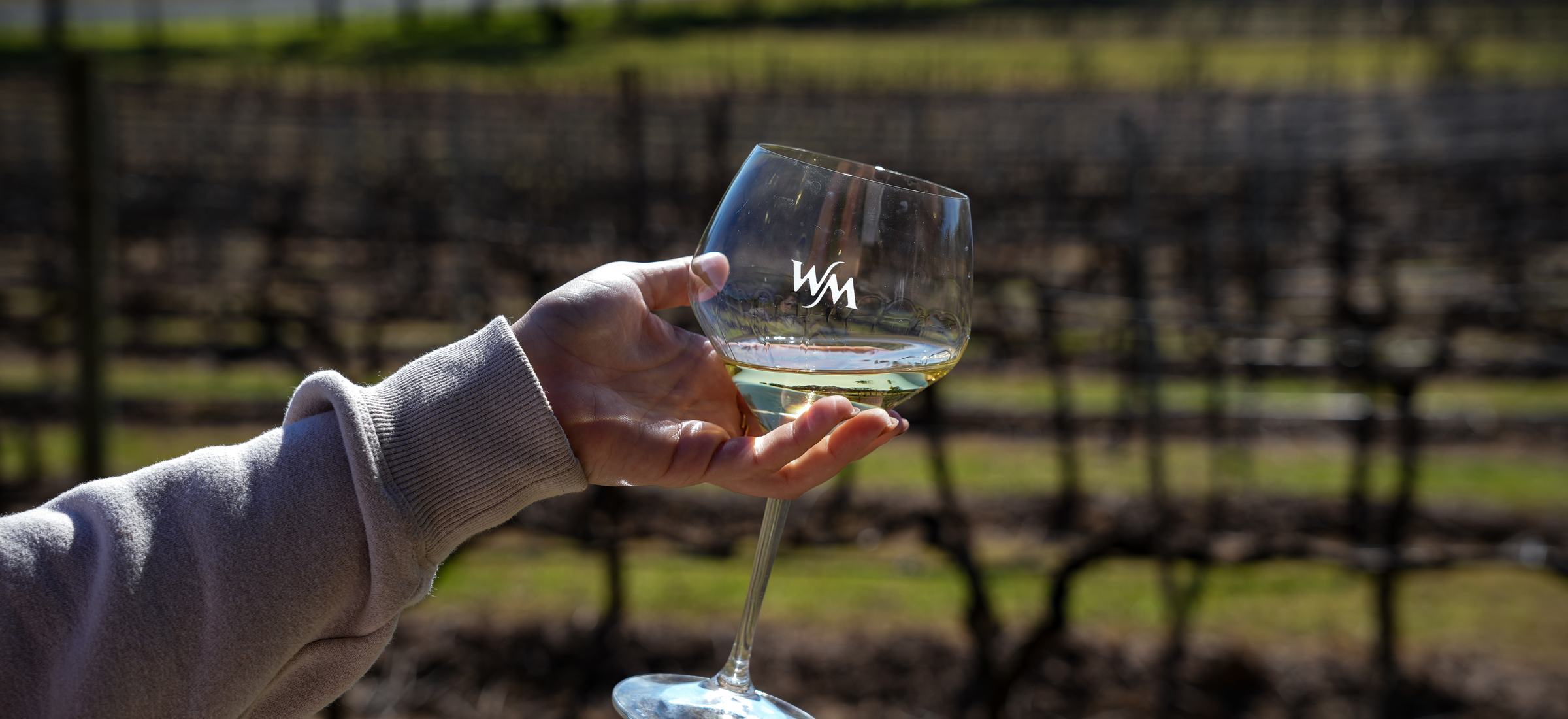 Glass of wine at a vineyard